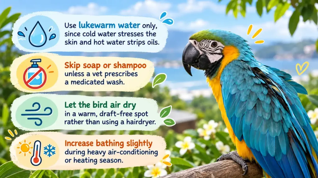 Macaw bathing tips infographic