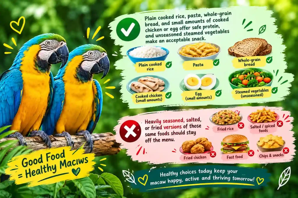 Safe human foods for macaws.